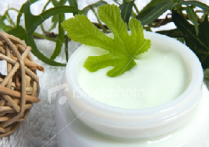 Herbs, plant extracts, seeds, essential oils