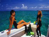 UNDER THE SUN SUN SKIN CARE